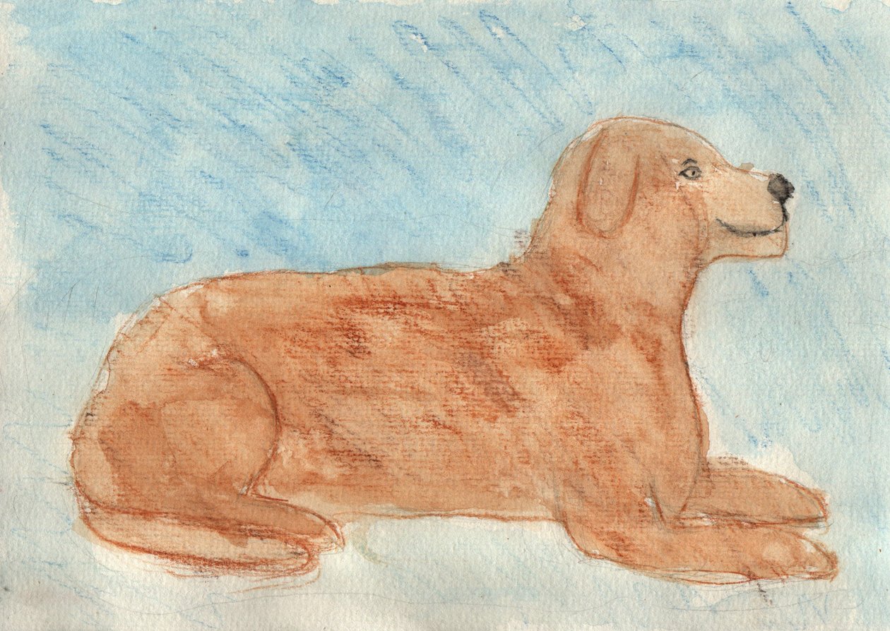 Gedroomd van een hond door Crazy Artist
