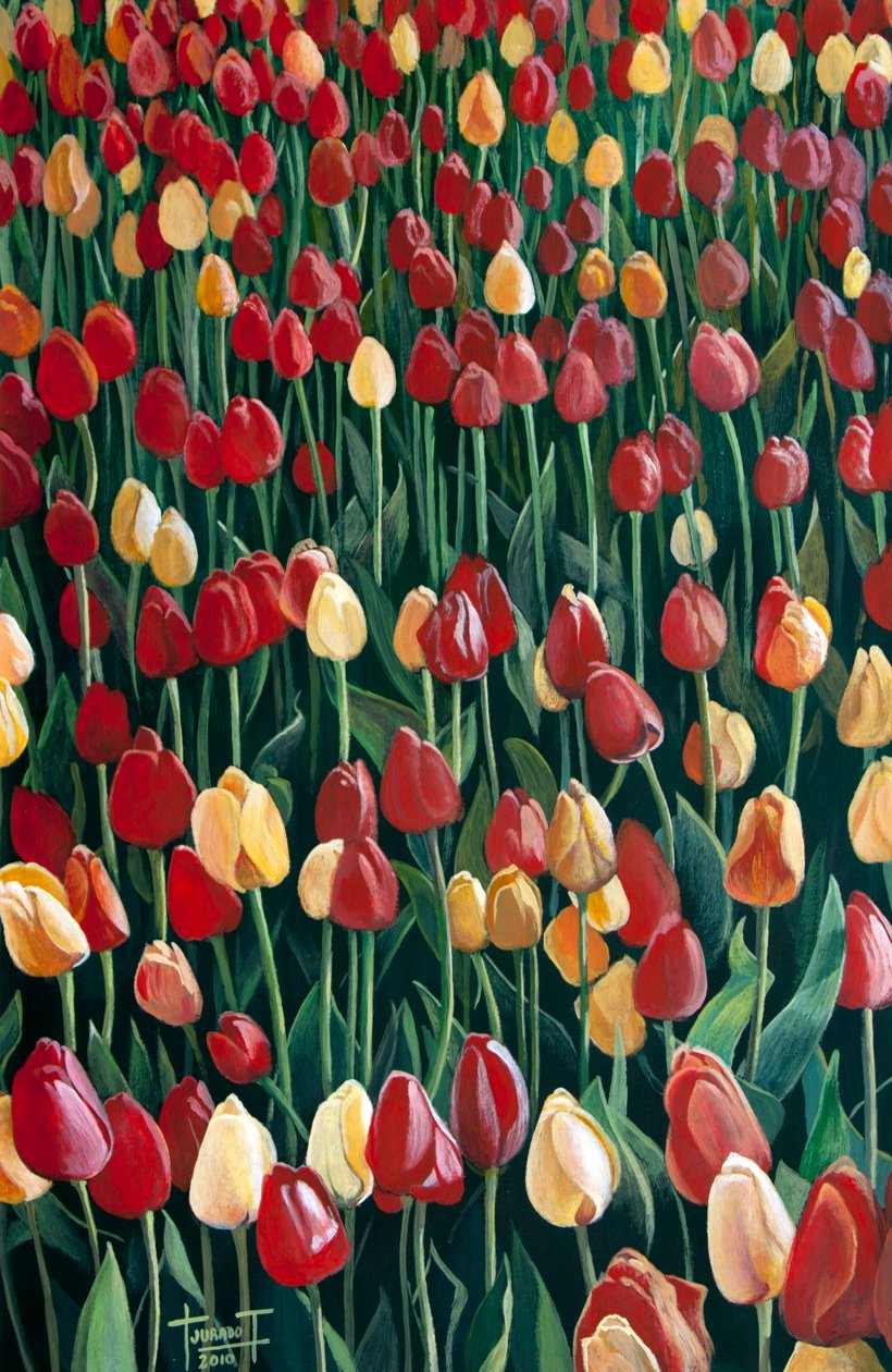 Tulpen door Cruz Jurado Traverso