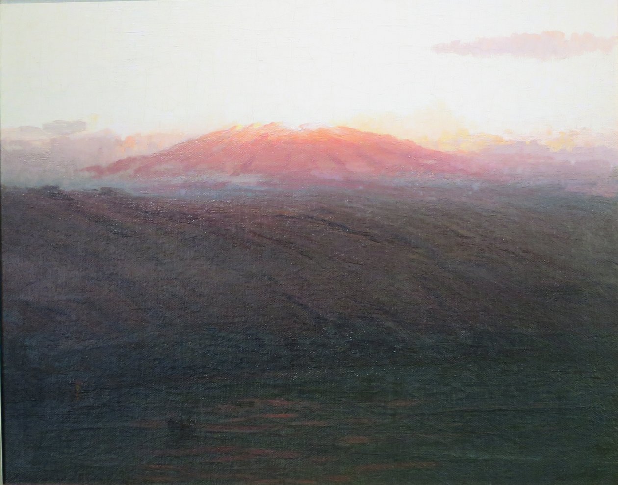 Mauna Kea door D. Howard Hitchcock