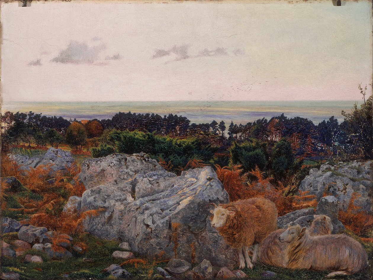 Morecambe Bay vanaf Warton Crag door Daniel Alexander Williamson