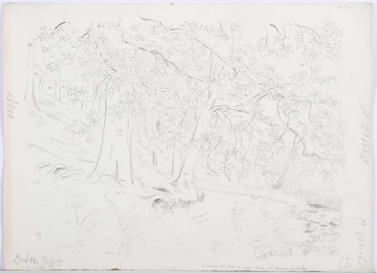 c.1916 door Daniel Oliver