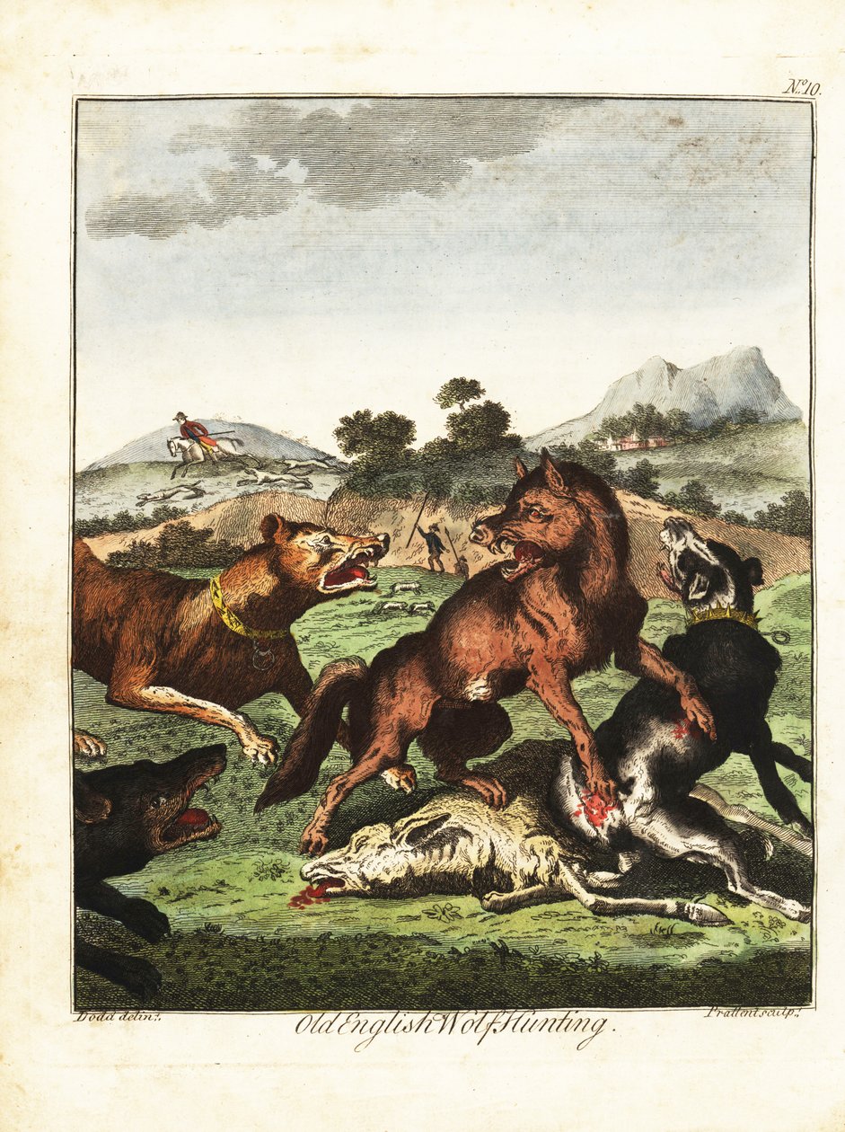 Oude Engelse wolvenjacht. 1792 (gravure) door Daniel (after) Dodd