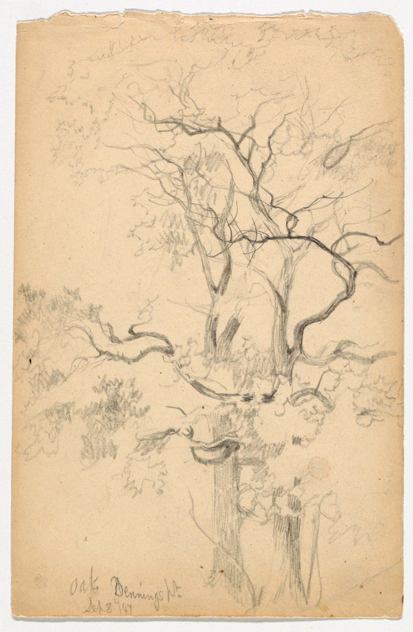 Studie van Eiken bij Dennings Point door Daniel Huntington