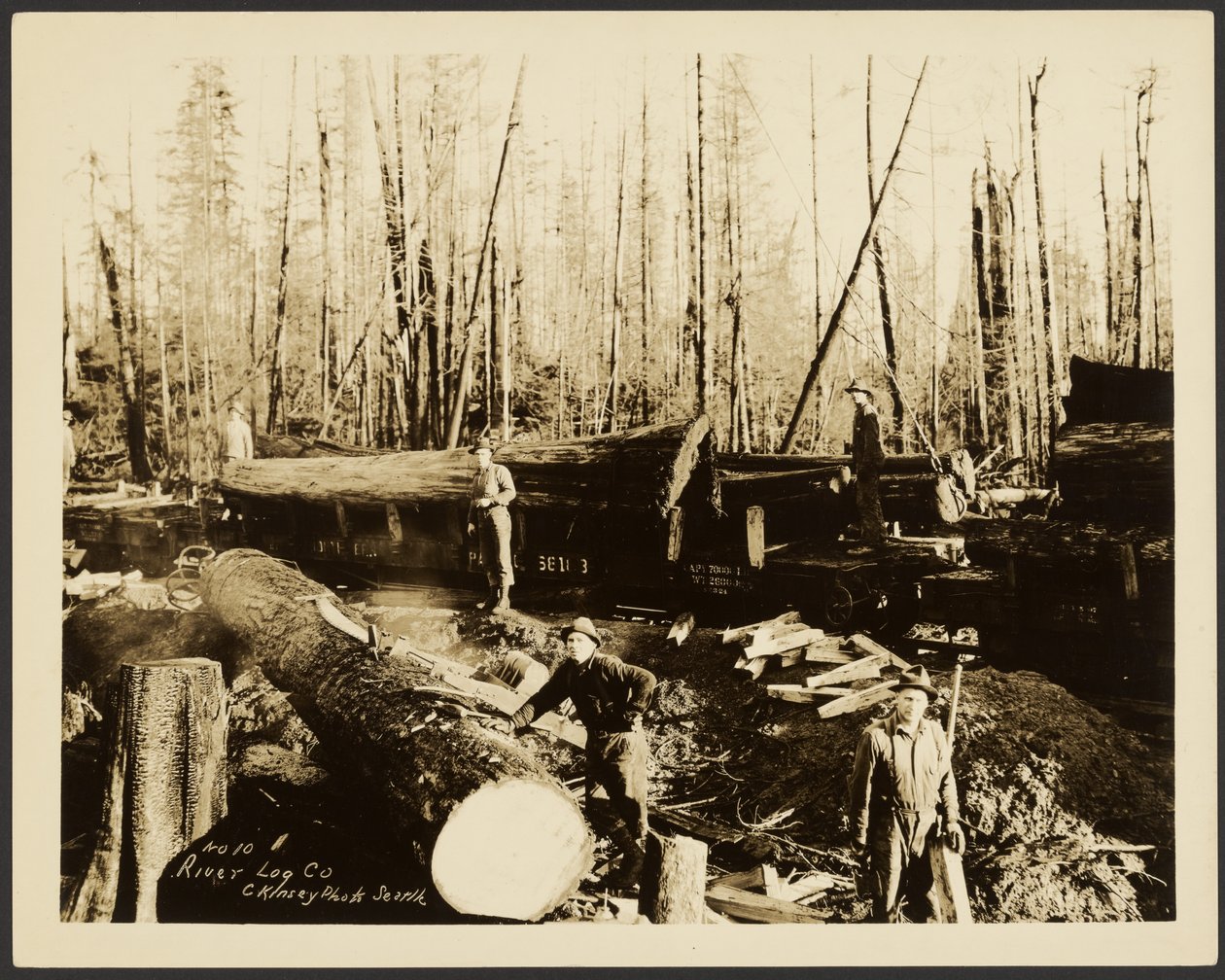 [Loggers] door Darius Kinsey