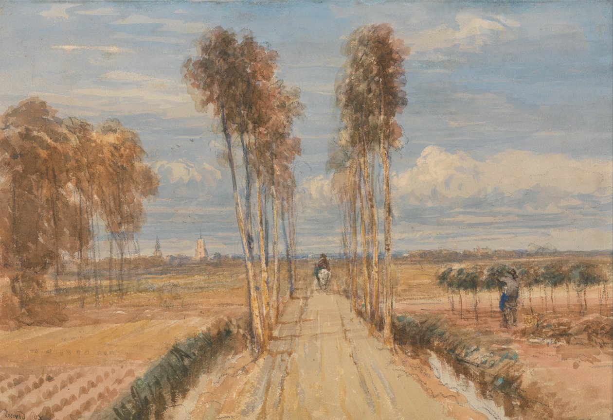 De Populierenlaan, naar Hobbema door David Cox