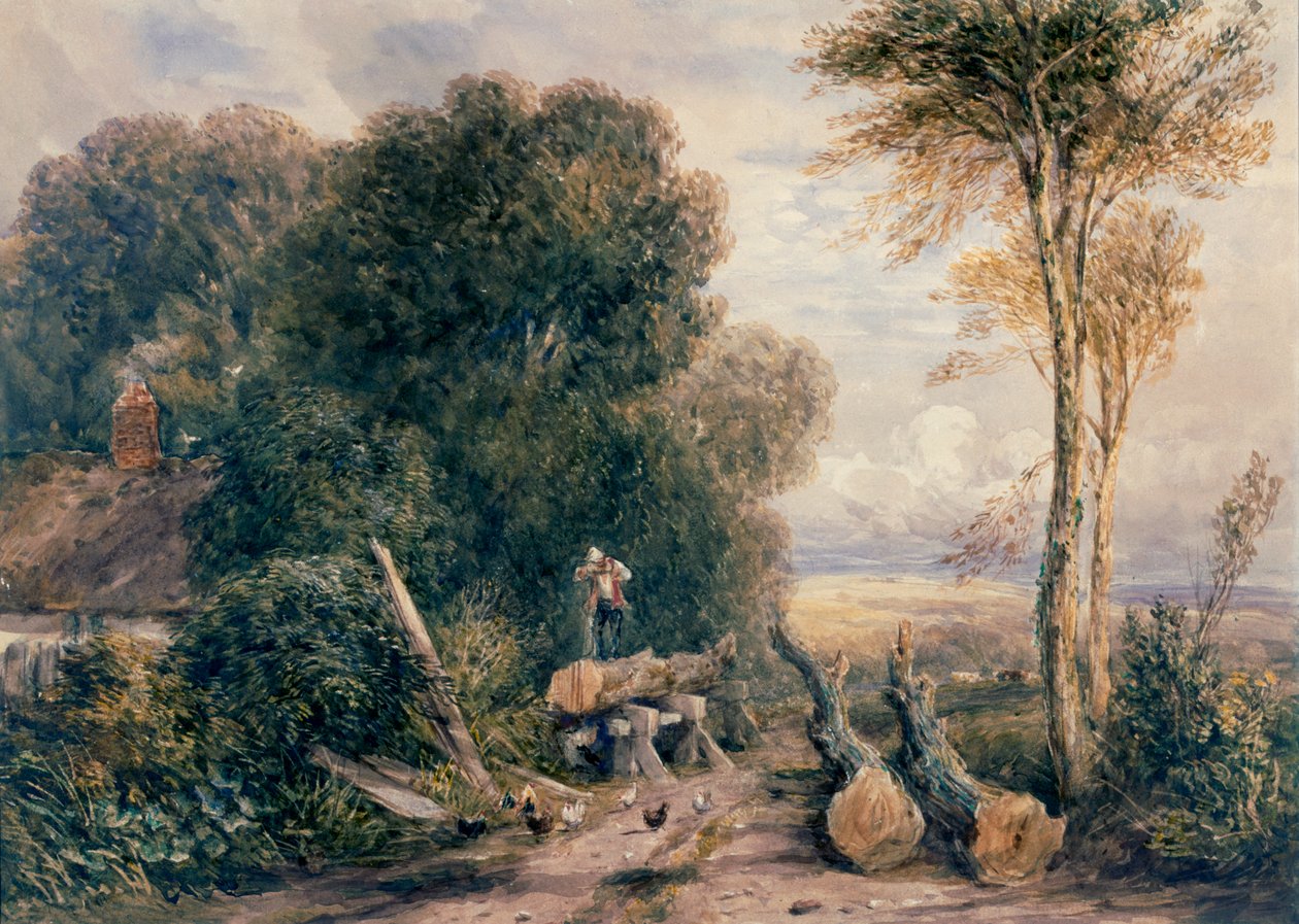 De zaagkuil door David Cox