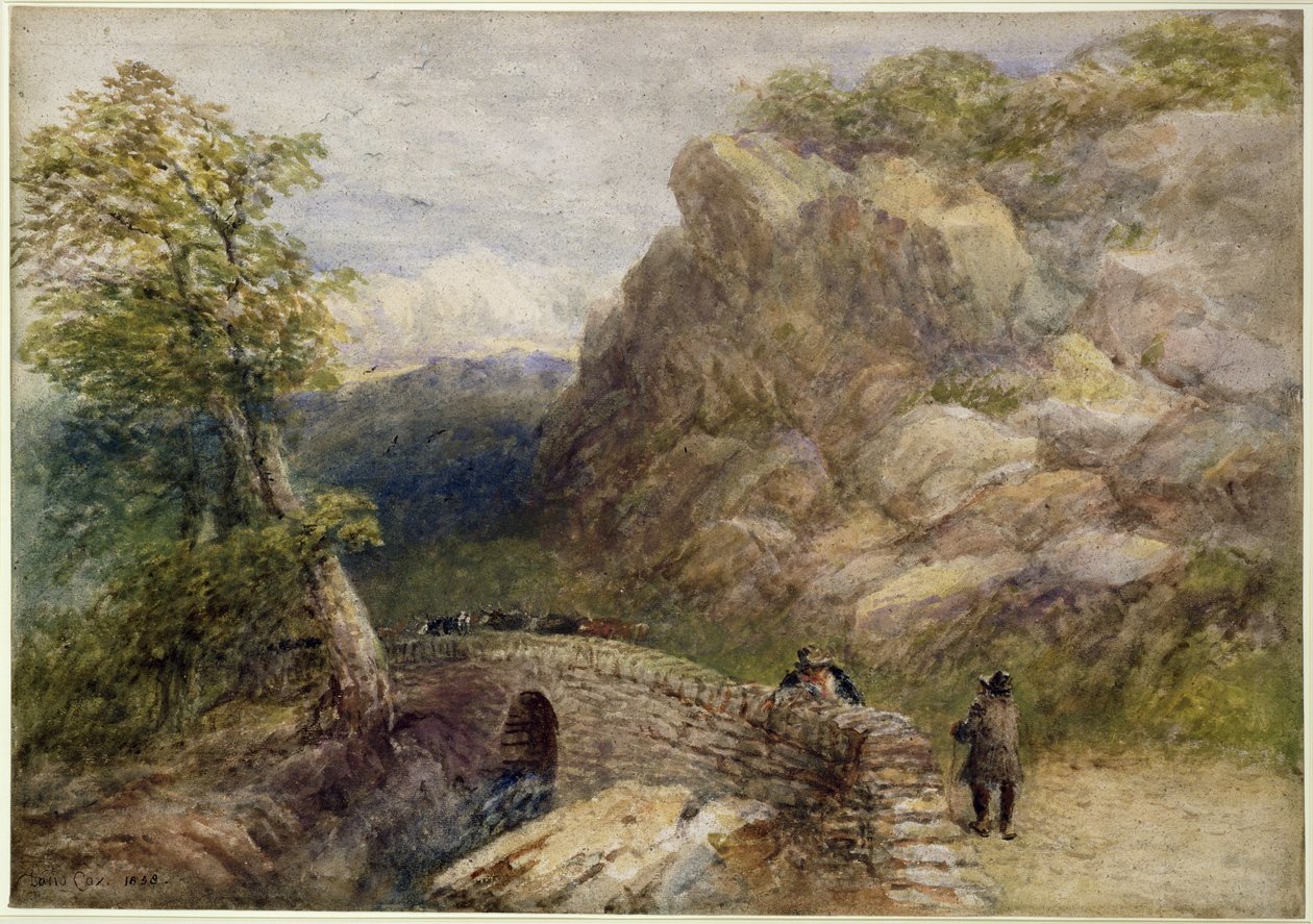 Uitzicht in Noord-Wales, 1858 door David Cox