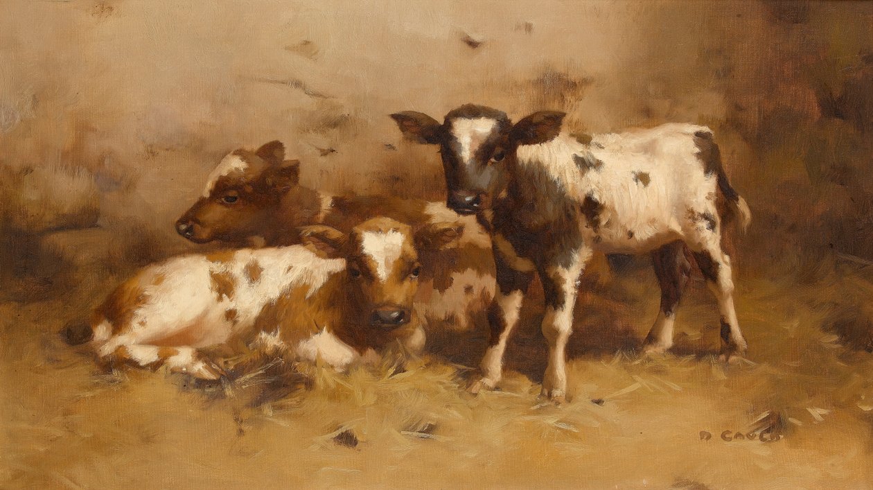 Drie kalveren in een schuur door David Gauld