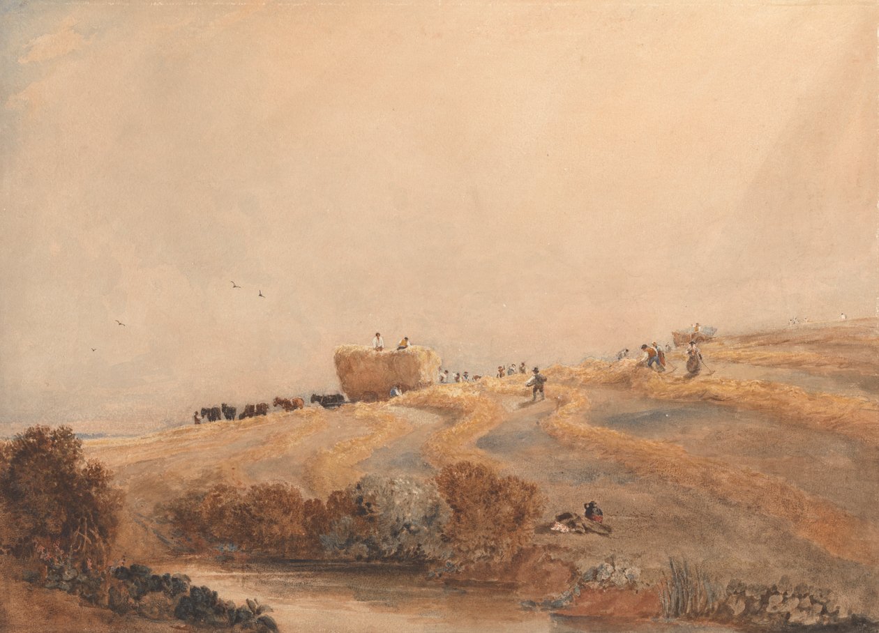 Hooien door David Cox