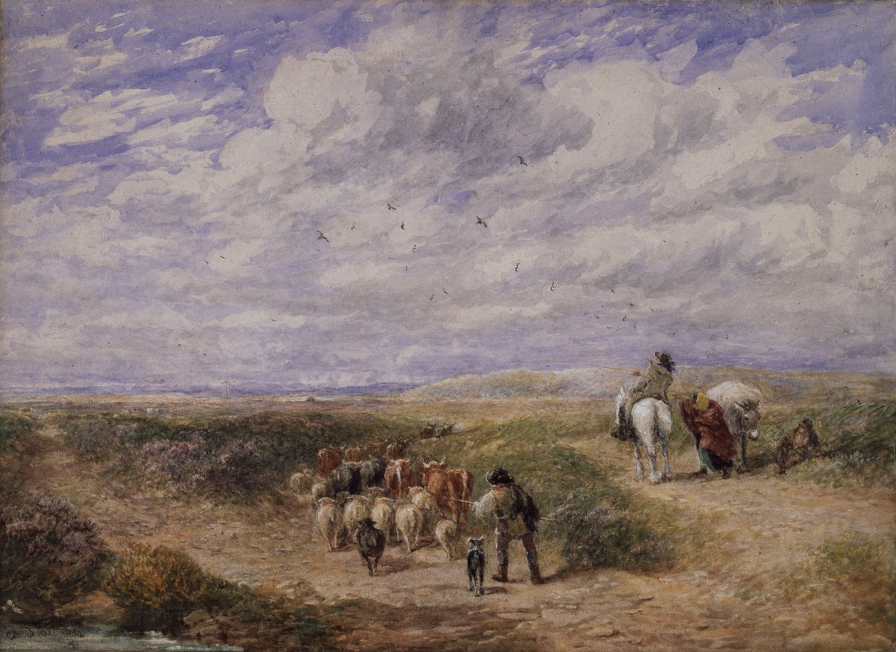 Houd de linkerweg door David Cox