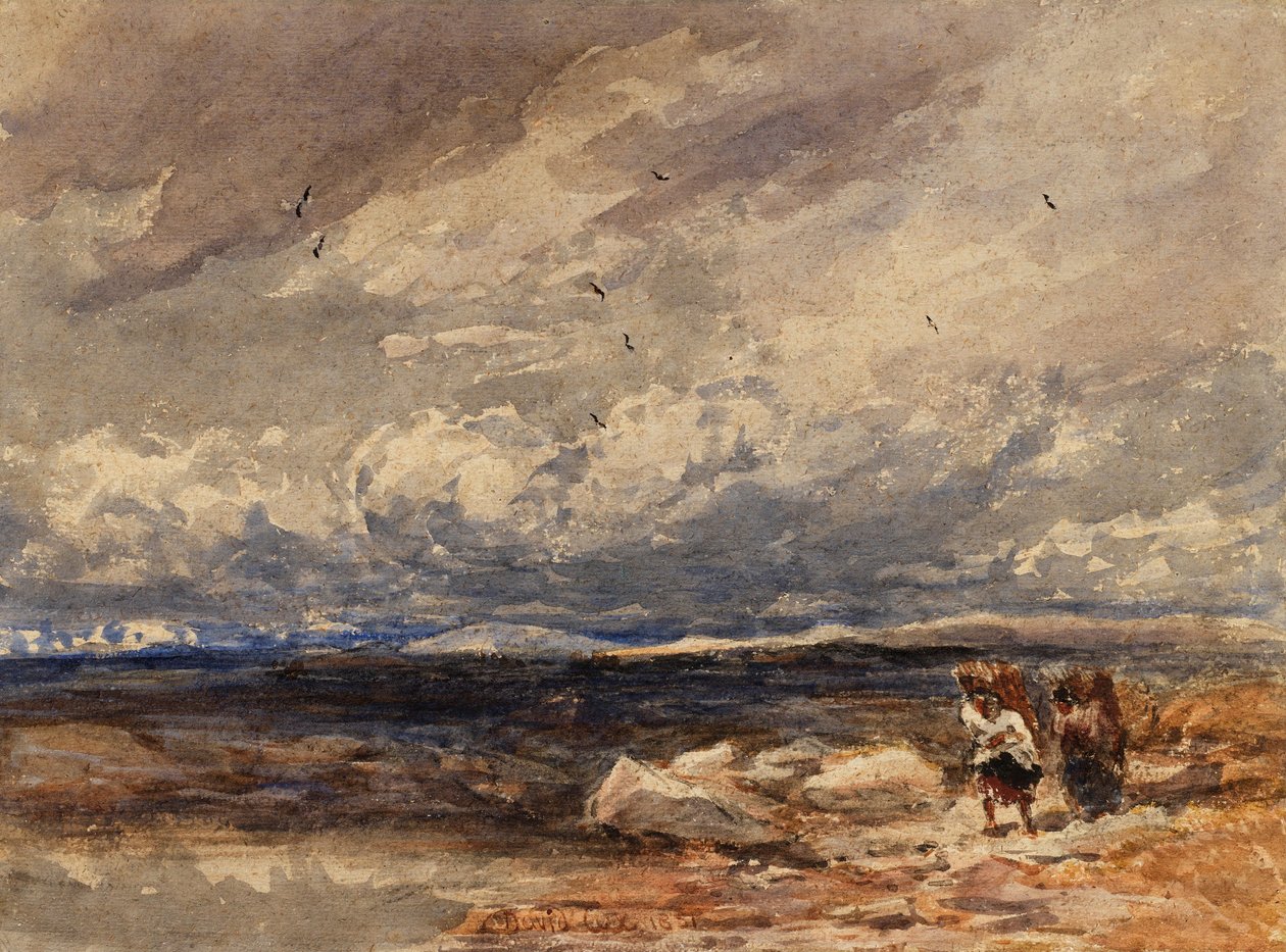 Op Carrington Moss door David Cox