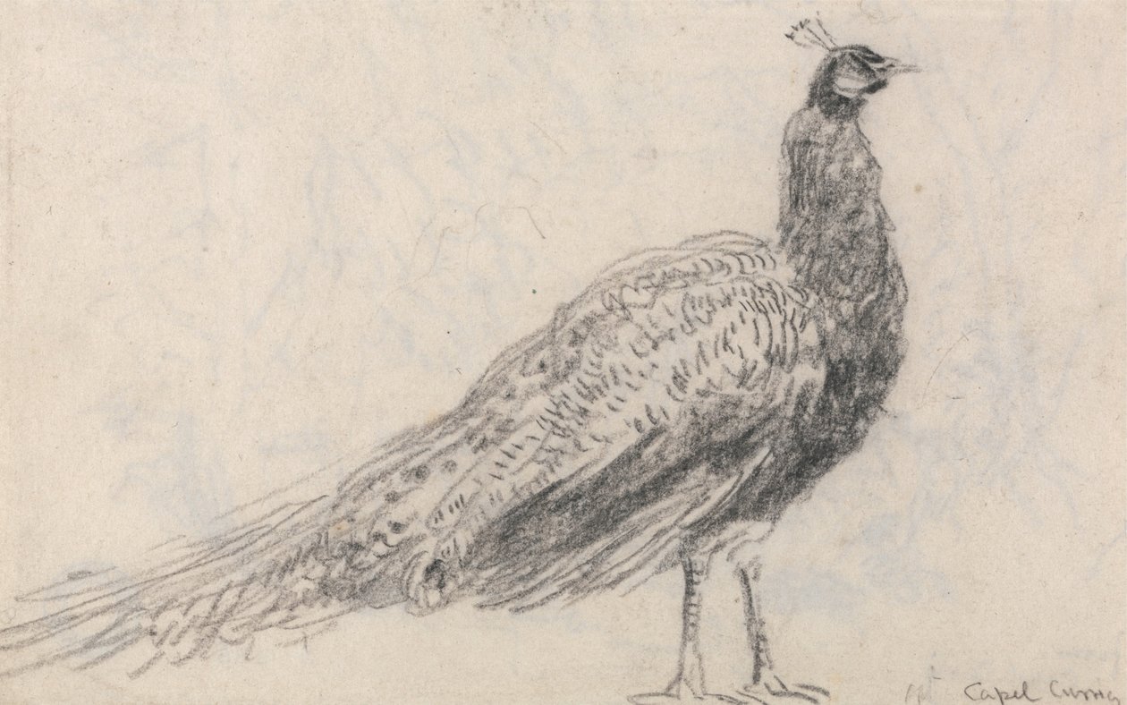 Pauw bij Capel Curig door David Cox