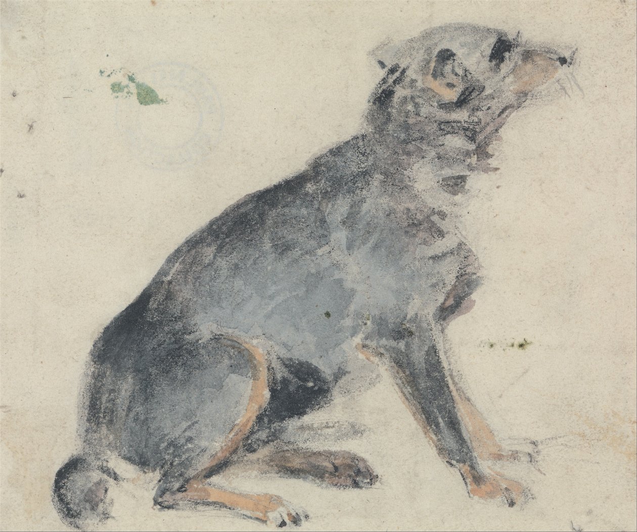 Studie van een hond door David Cox