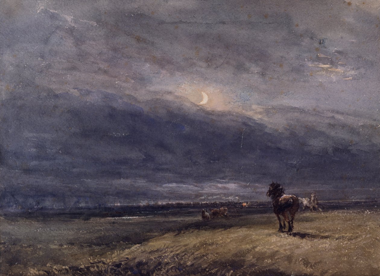 De Nachttrein door David Cox