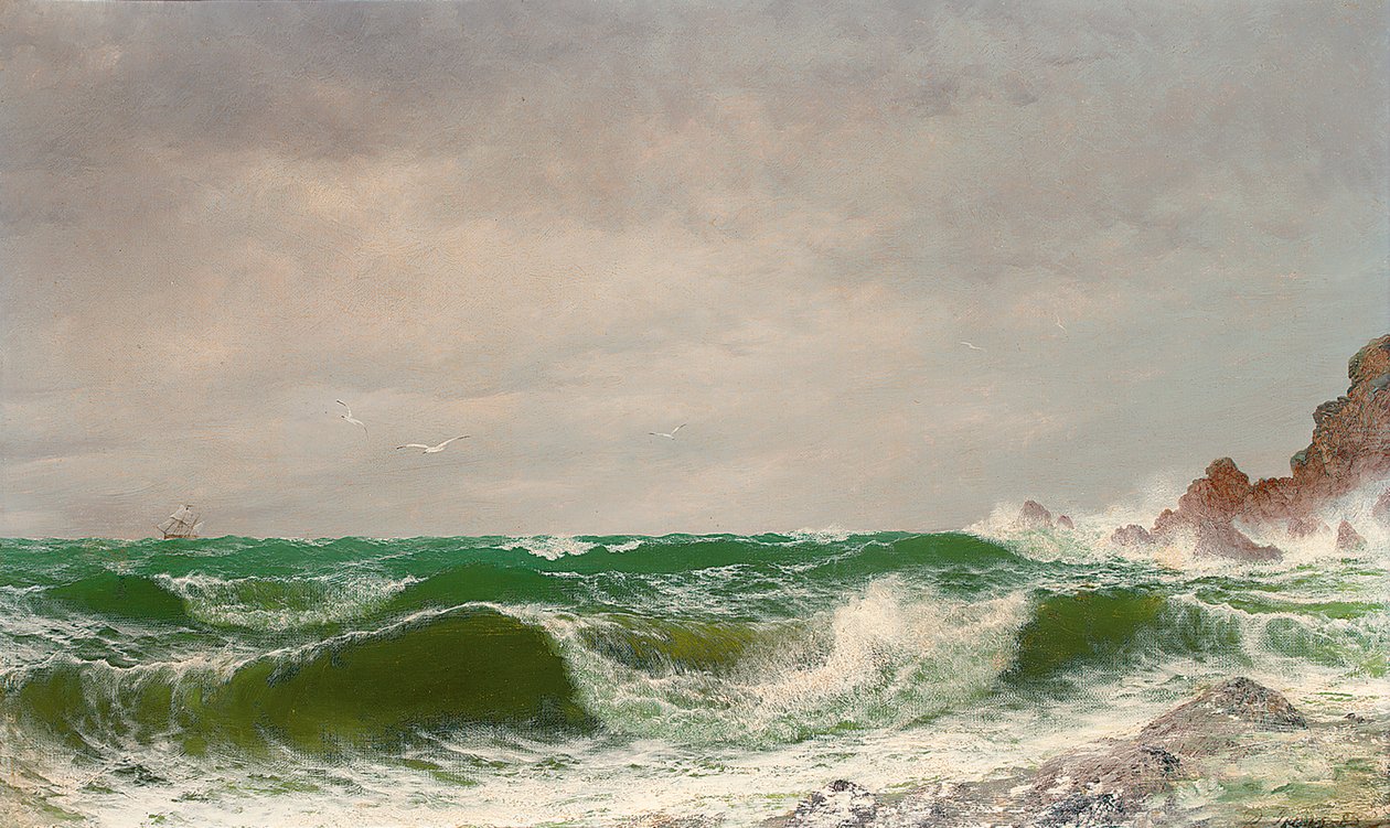 Golven die op een Rotsachtige Kust Breken, 1885 door David James