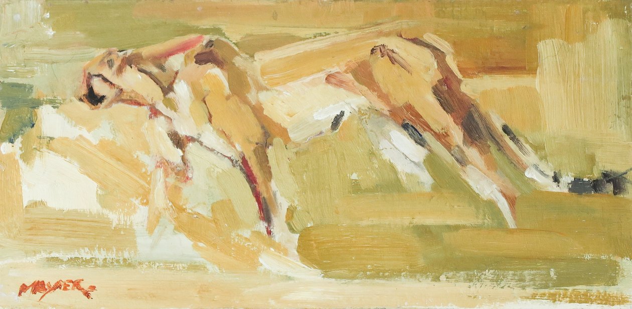 Jachtluipaard, 2015 door David Mayer