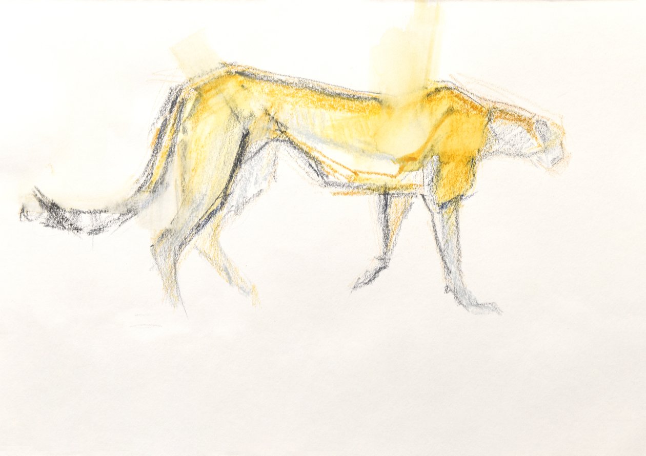 Cheetah, 2020 door David Mayer