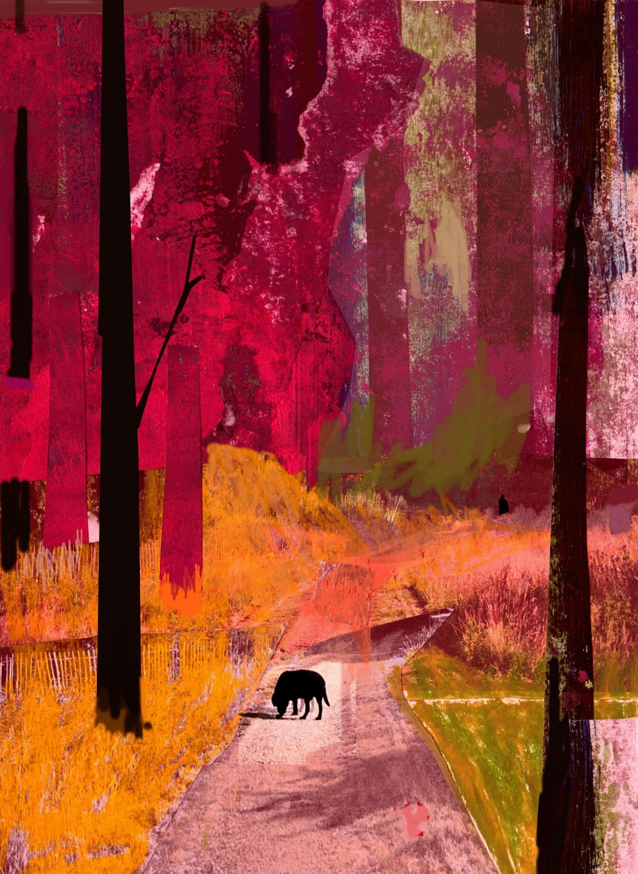 Zwarte hond, 2013 door David McConochie