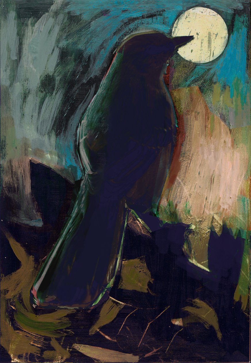 Spotvogel, 2016 door David McConochie