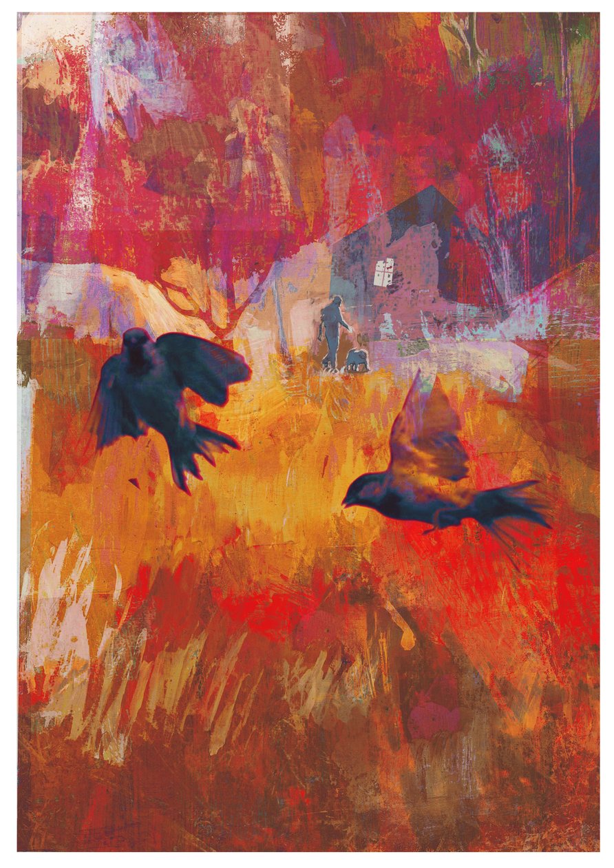 Mussen, 2016 door David McConochie