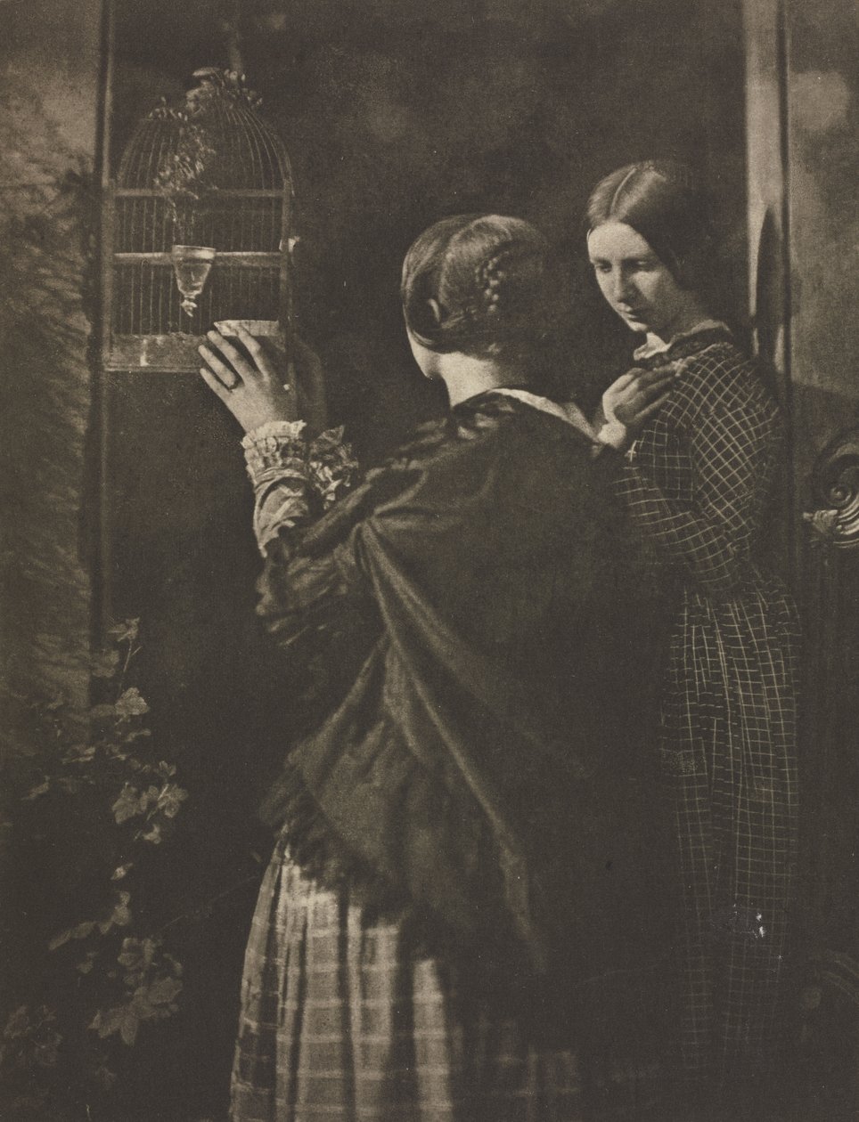 De Vogelkooi door David Octavius Hill