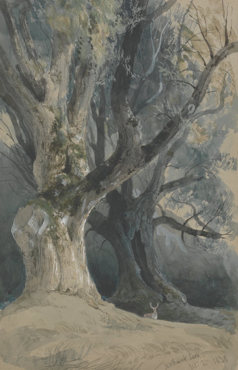 Bomen in Northwick Park door David Roberts