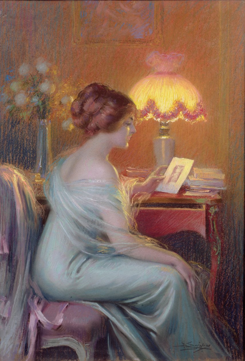 Herinneringen door Delphin Enjolras