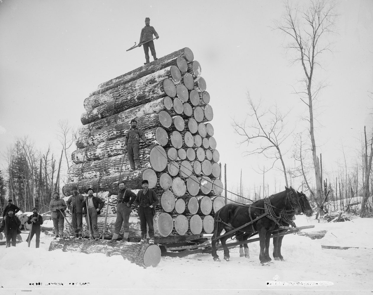 Houtkap van een Grote Lading, Michigan door Detroit Publishing Co.