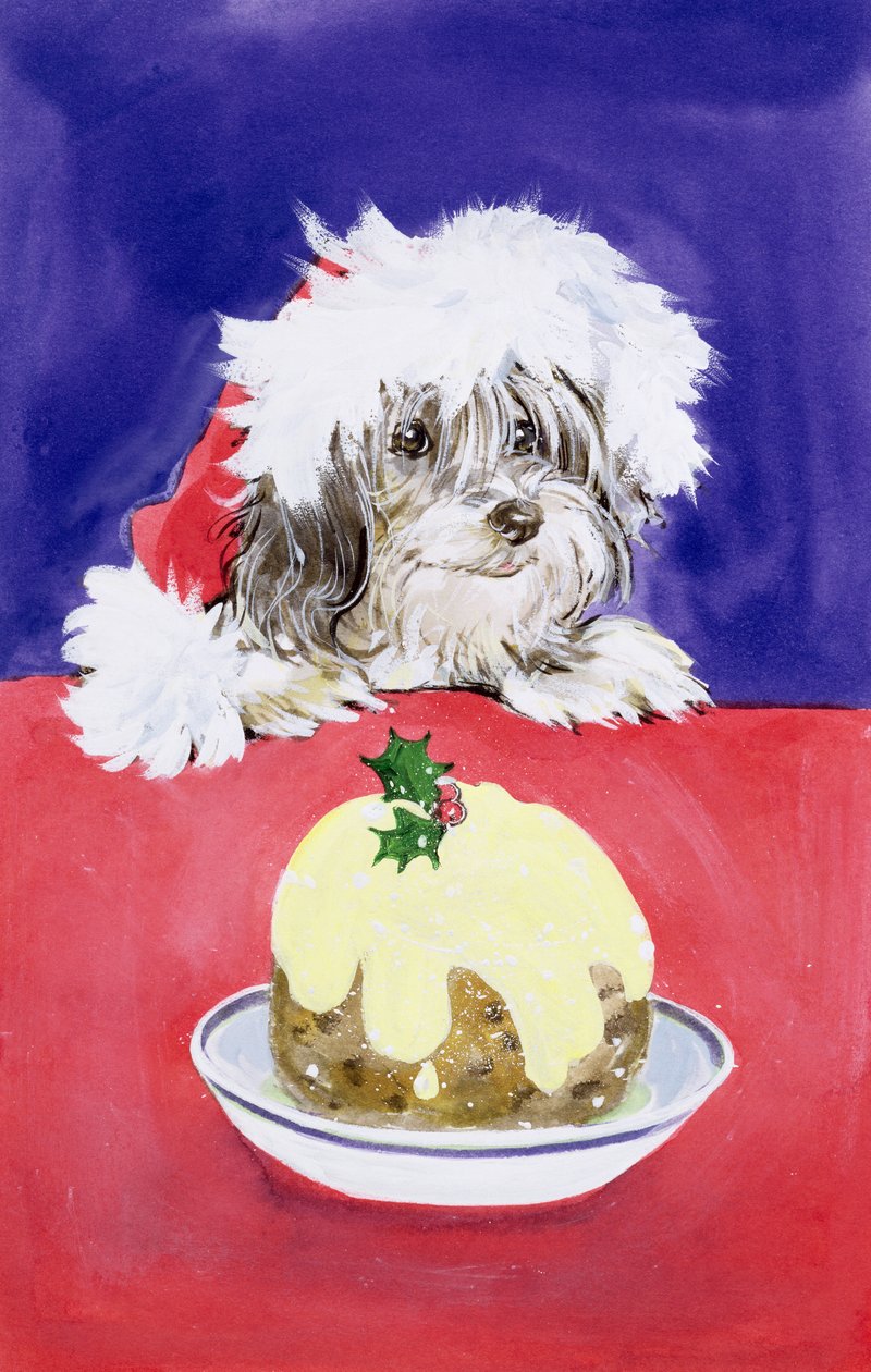 De Kerstpudding door Diane Matthes