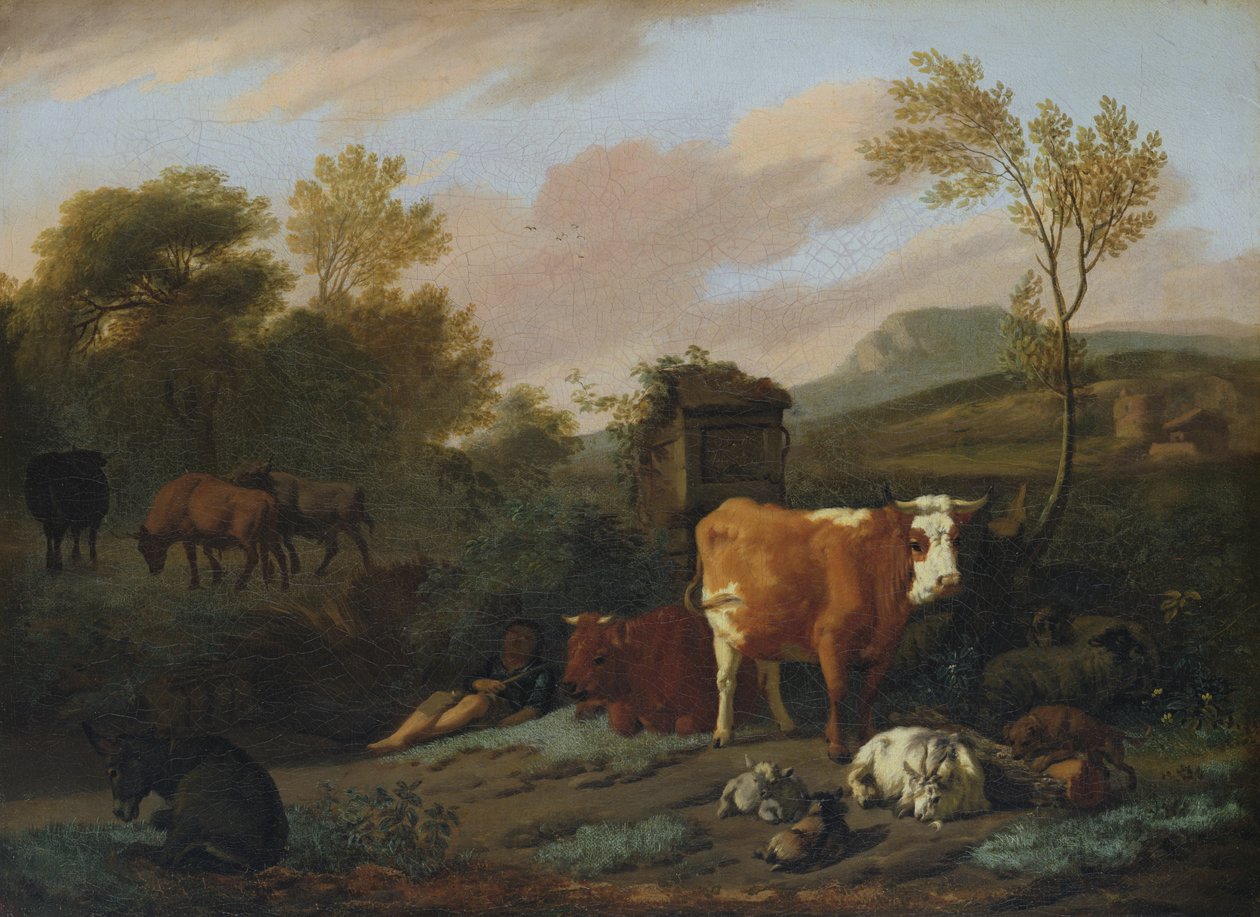 Animalia door Dirck van Bergen