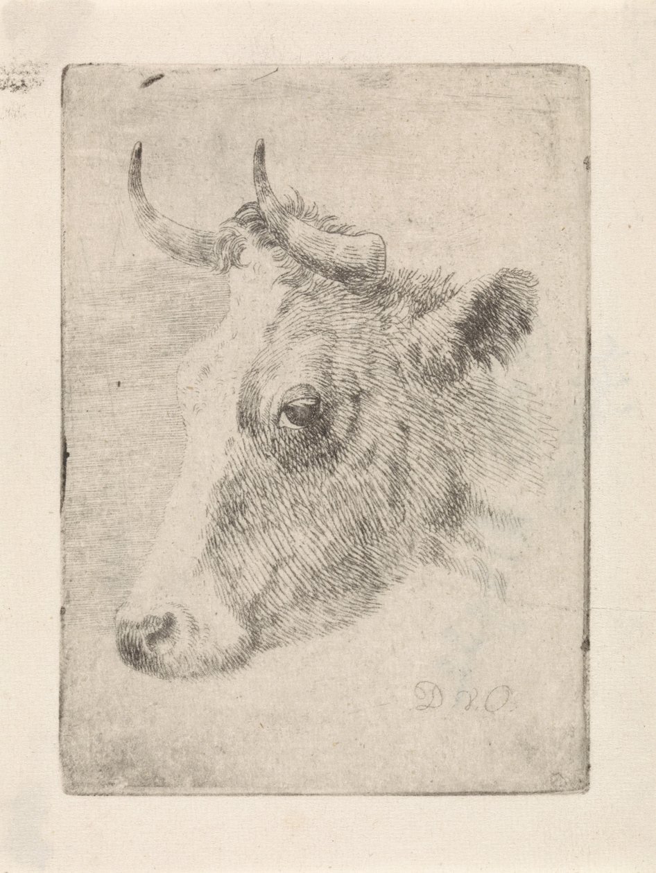 Kop van een stier door Dirk van Oosterhoudt