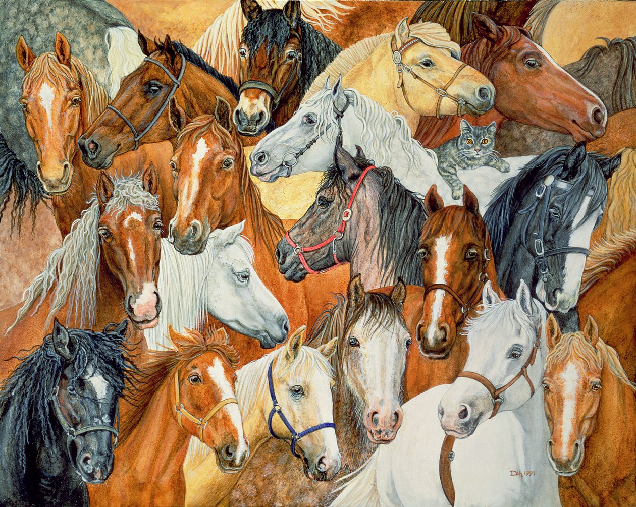 Dees paardenkleed door Ditz