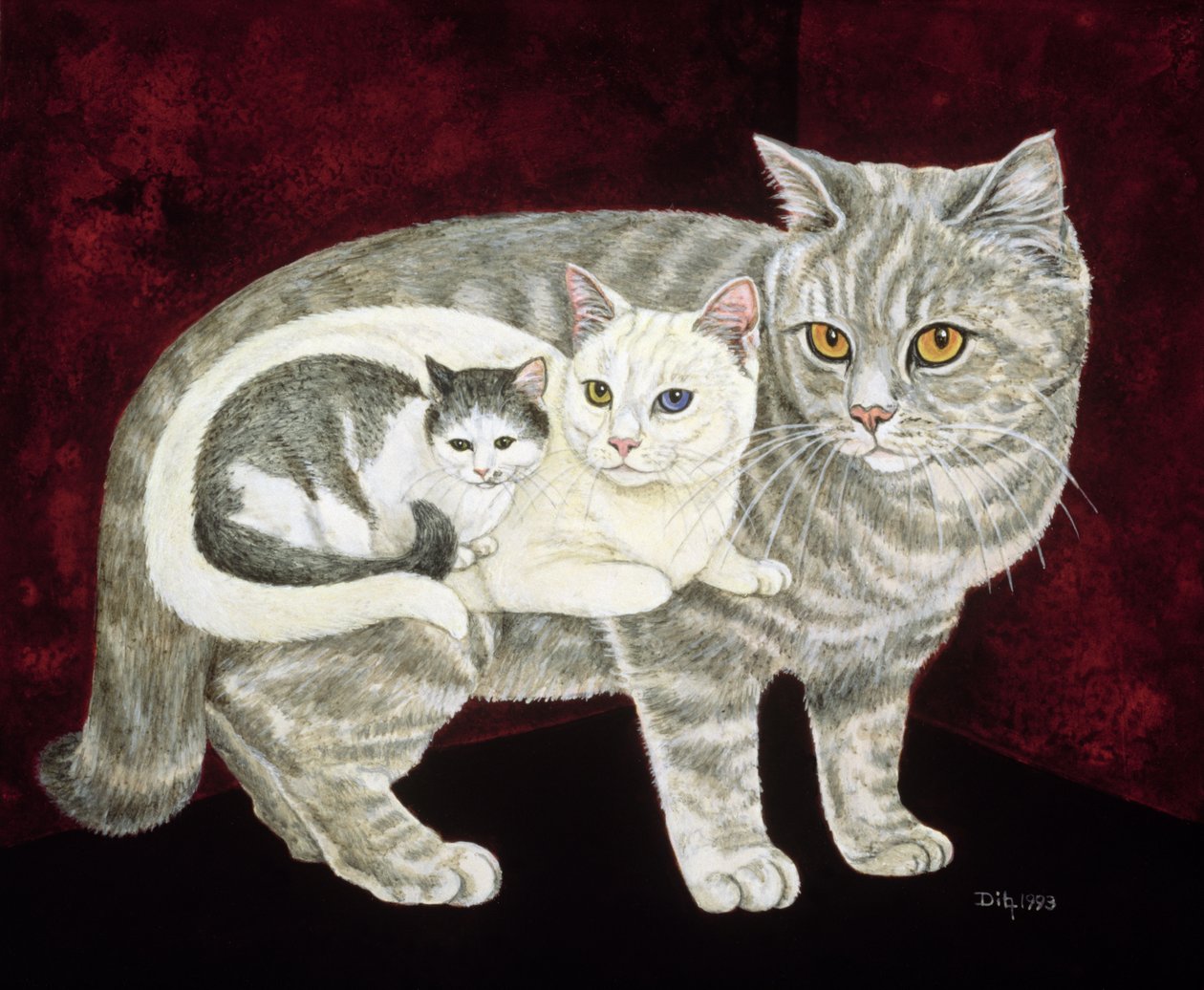 Russische Kat door Ditz
