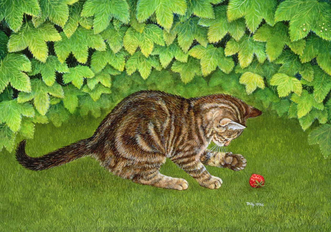 De Aardbei-Kitten, 1996 door Ditz