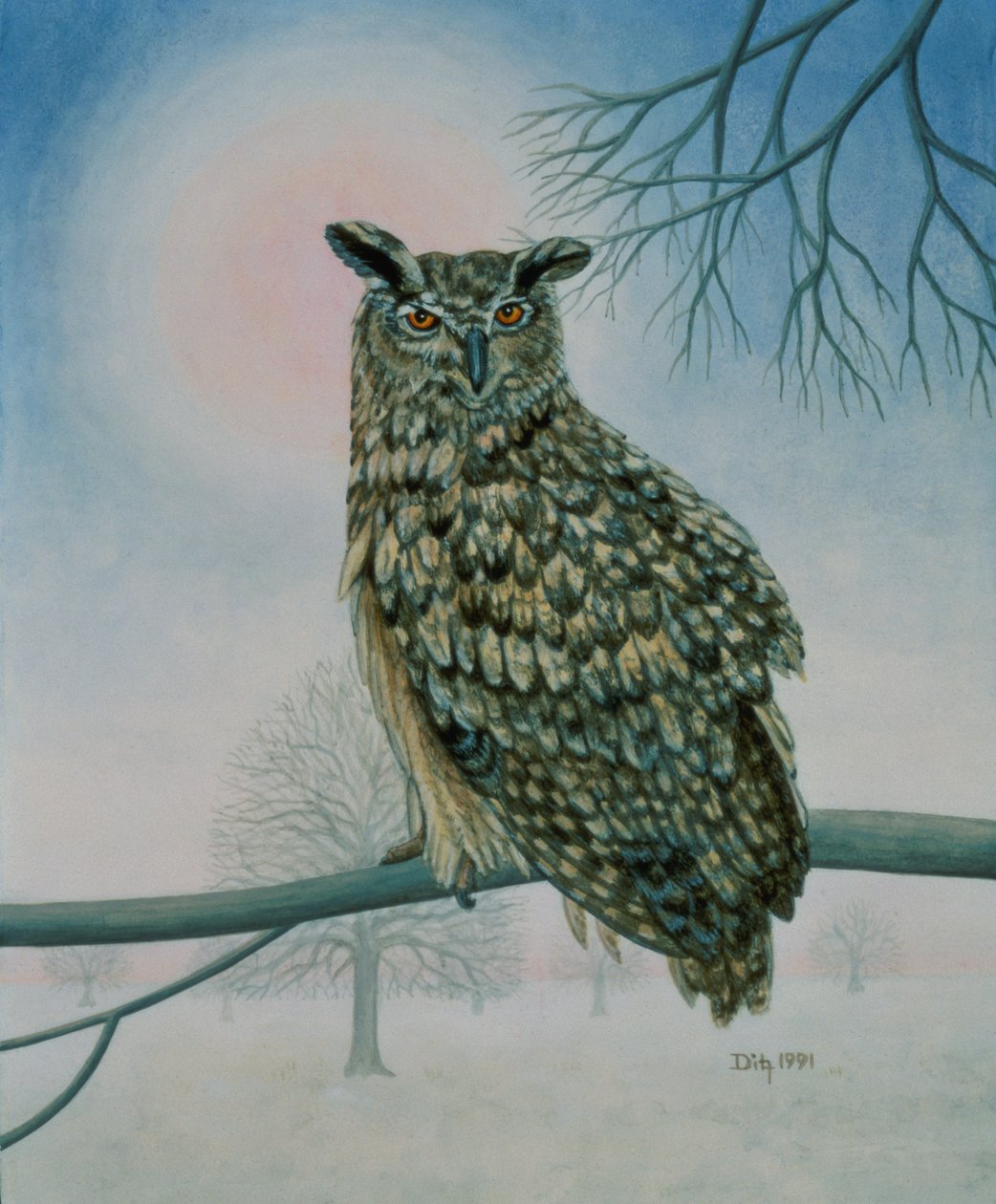 Winter-uil door Ditz