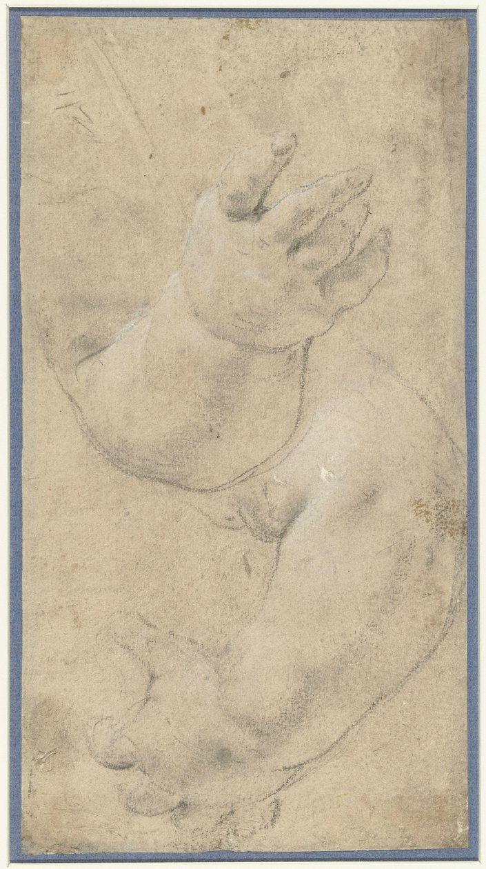 Studie van twee kinderarmpjes door Domenichino