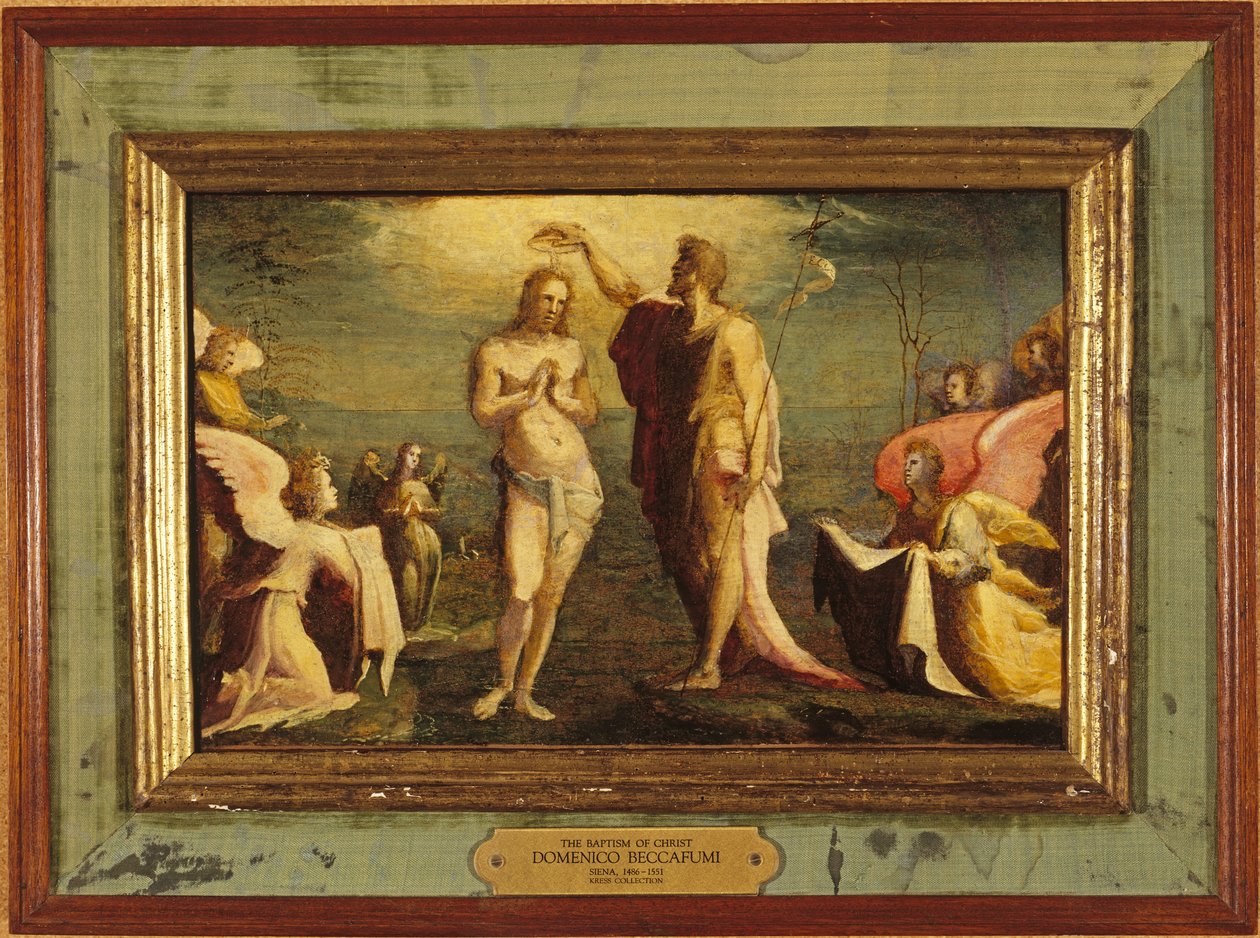 Beccafumi - De doop van Christus, 1528 door Domenico Beccafumi