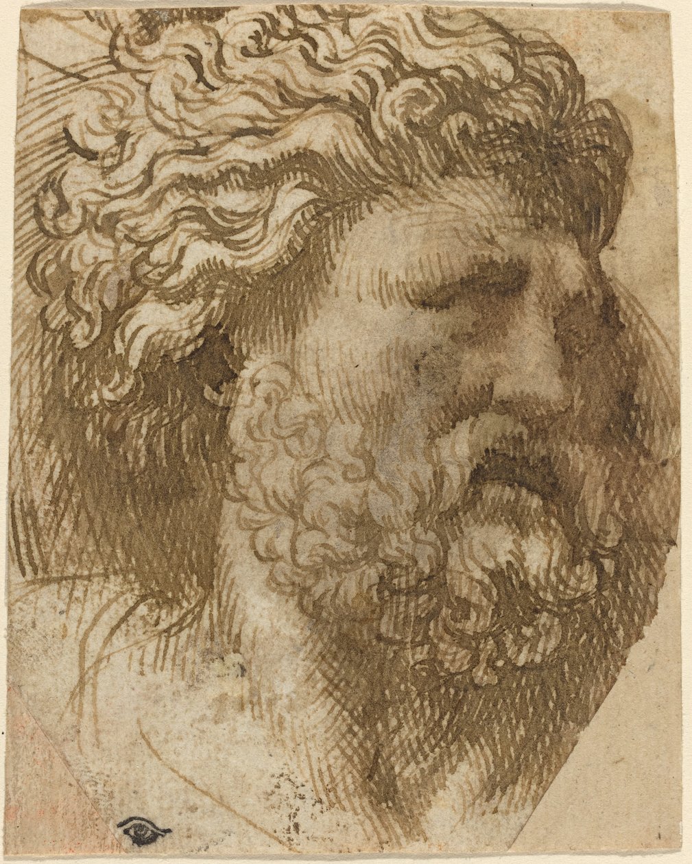 Hoofd van een man door Domenico Campagnola