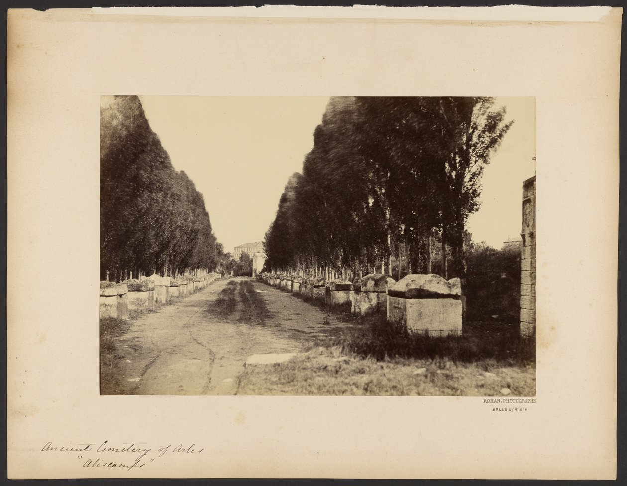[Oude begraafplaats van Arles, "Alyscamps"]. door Dominique Roman