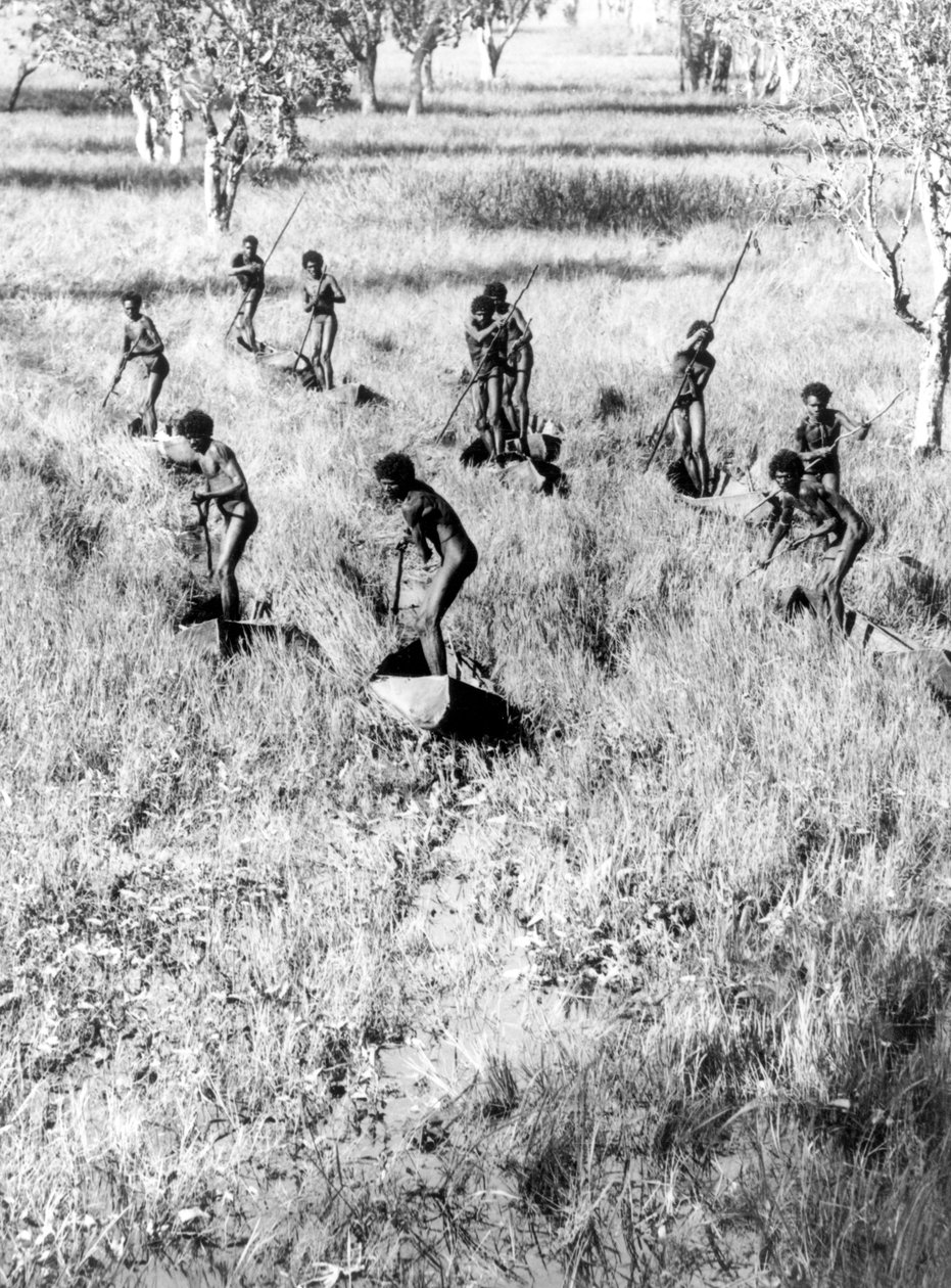 De ganzenjagers van het Arafura-moeras door Donald F Thomson