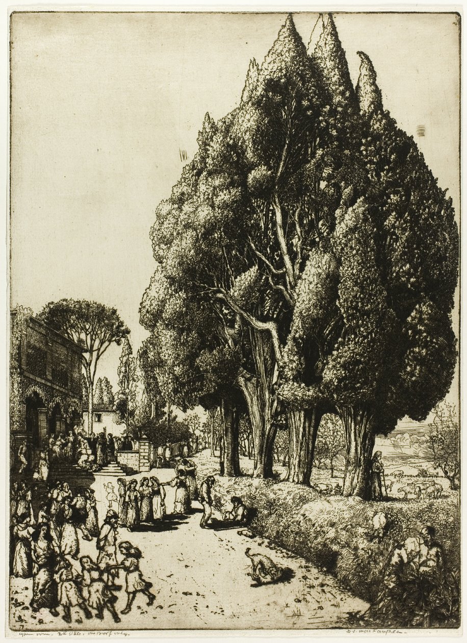 Cipressenbos door Donald Shaw MacLaughlan