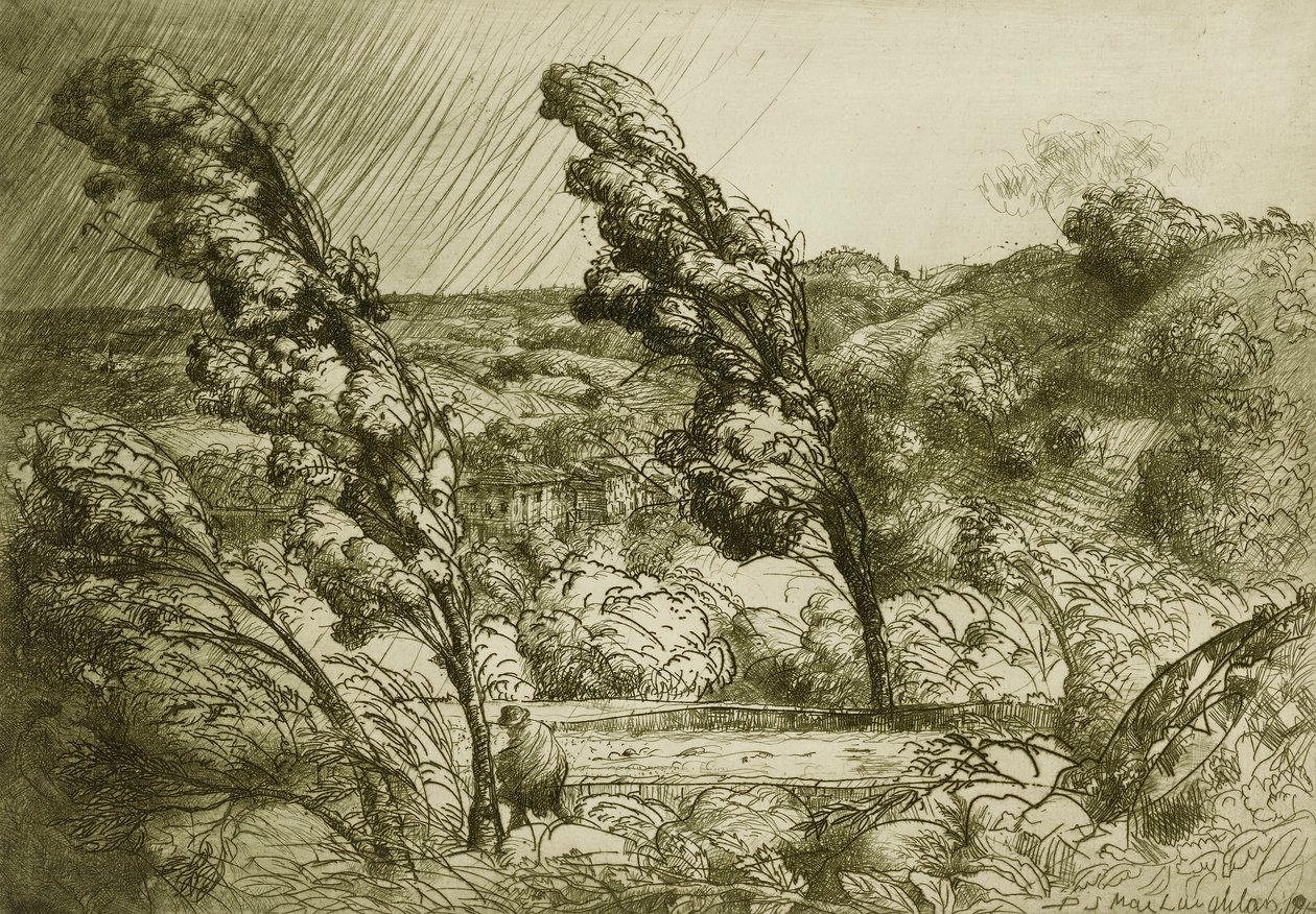 De storm door Donald Shaw MacLaughlan