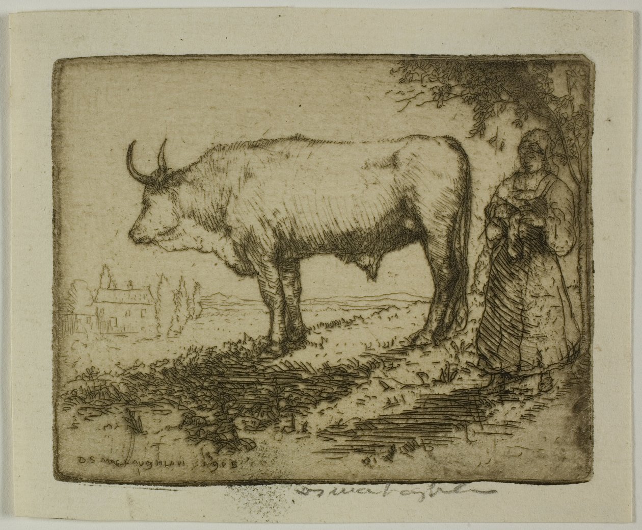 De witte os door Donald Shaw MacLaughlan