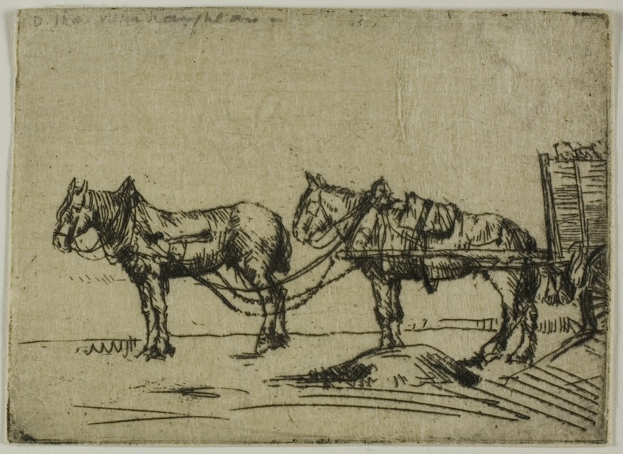 Twee paarden door Donald Shaw MacLaughlan