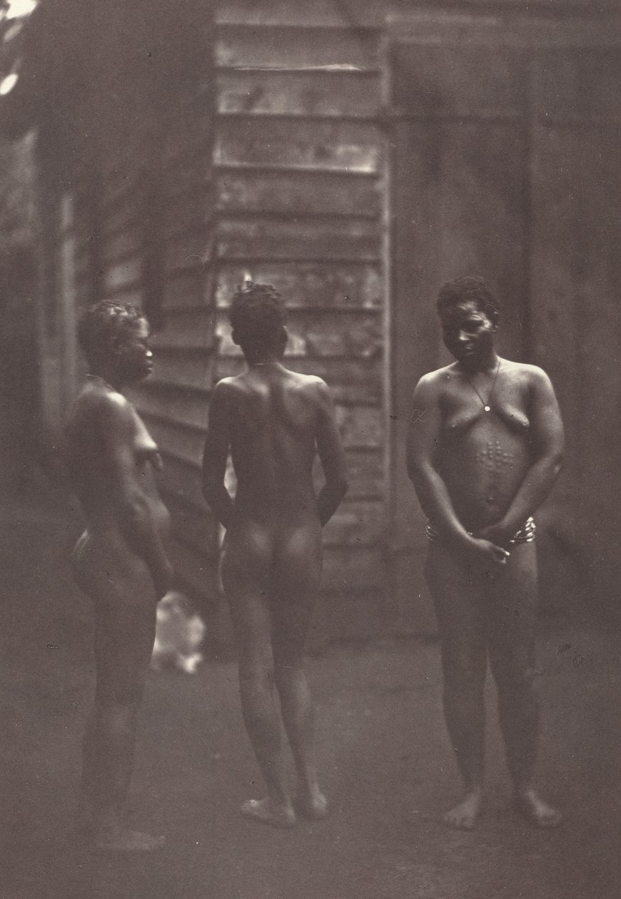 Drie Malagassische Vrouwen (Plate 30) door Désiré Charnay