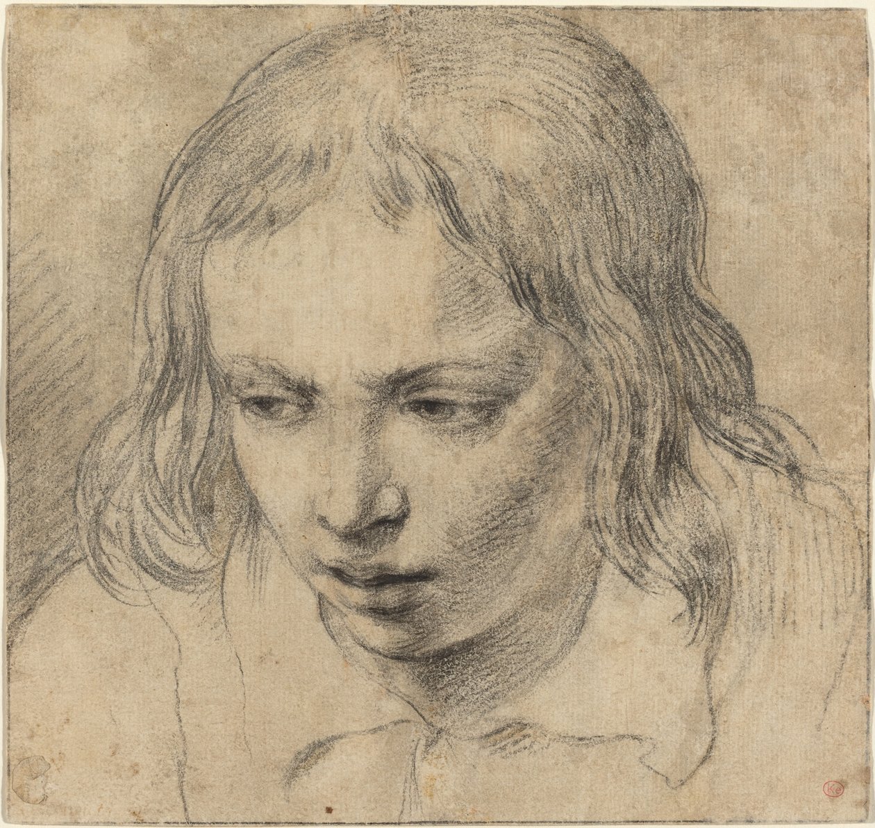 Hoofd van een Jonge Man door Dutch 17th Century