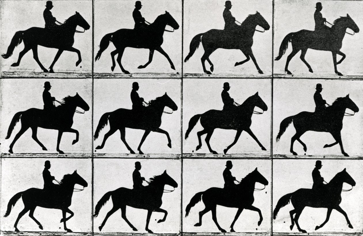 Een stap in elf fasen, 1881, illustratie uit 
