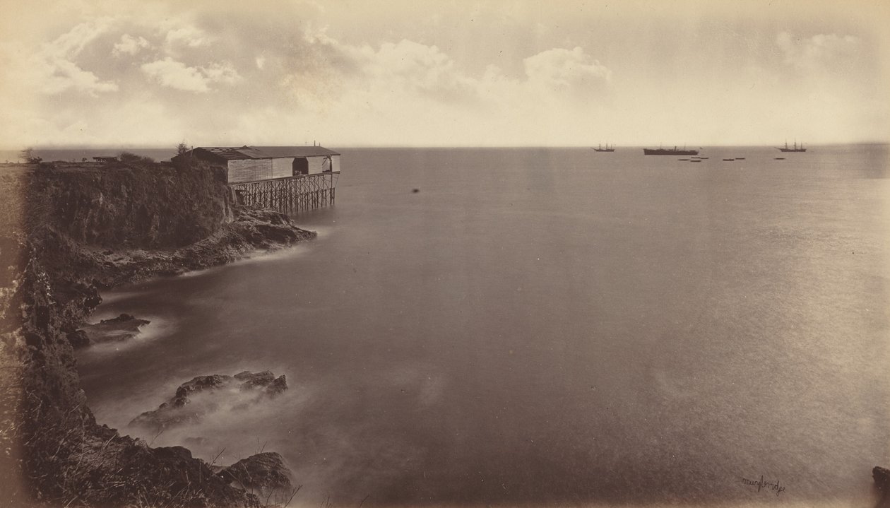 Acajutla, 1877 door Eadweard Muybridge