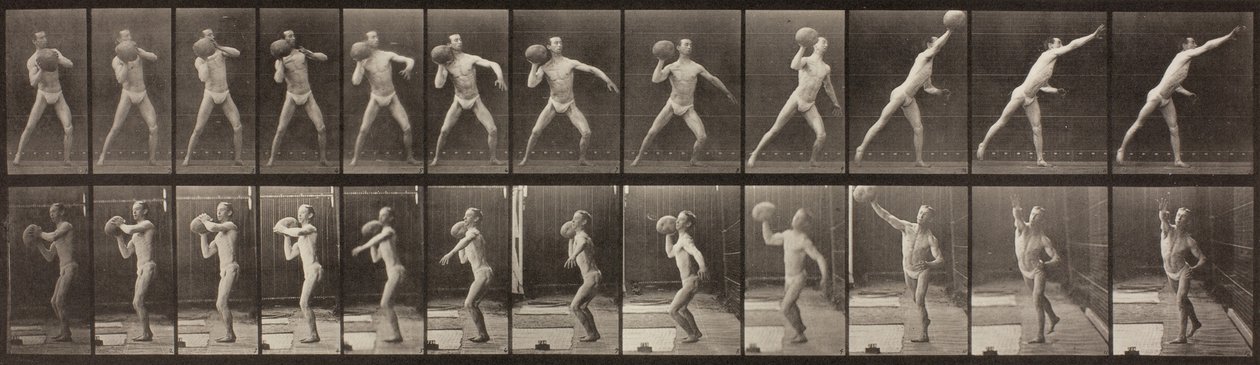 Dierenbeweging, Plaat 319 door Eadweard Muybridge