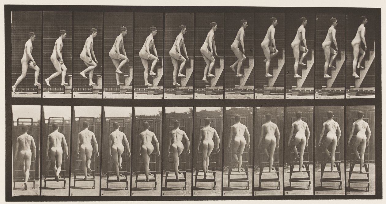 Plaat 109. Trapladder beklimmen, 1872-1885 door Eadweard Muybridge